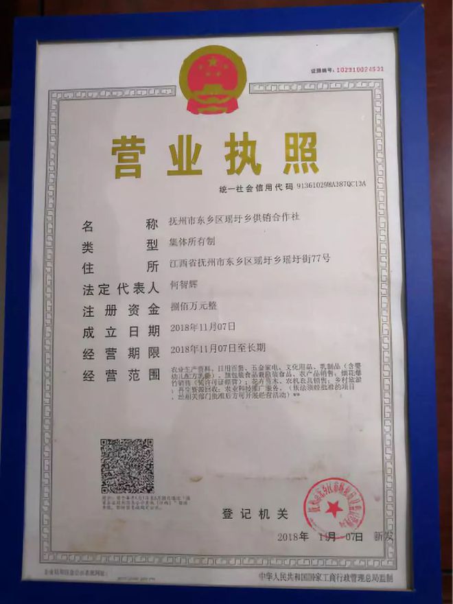 多元經營 現代零售業務的擴展與整合